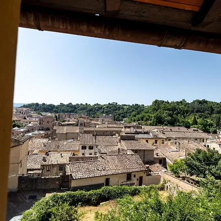 Sebastiano * Colle Val D'Elsa